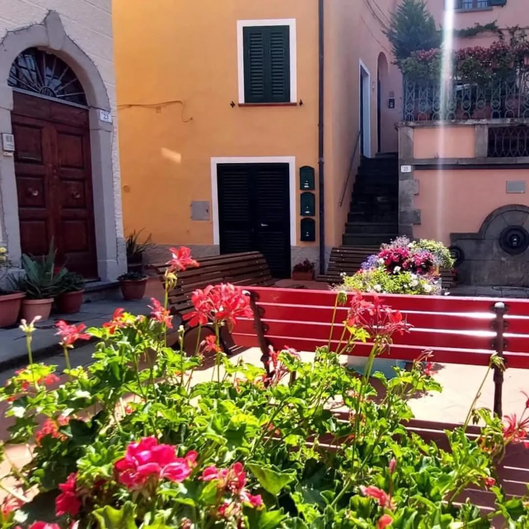 Tuscany Wineart Riparbella
